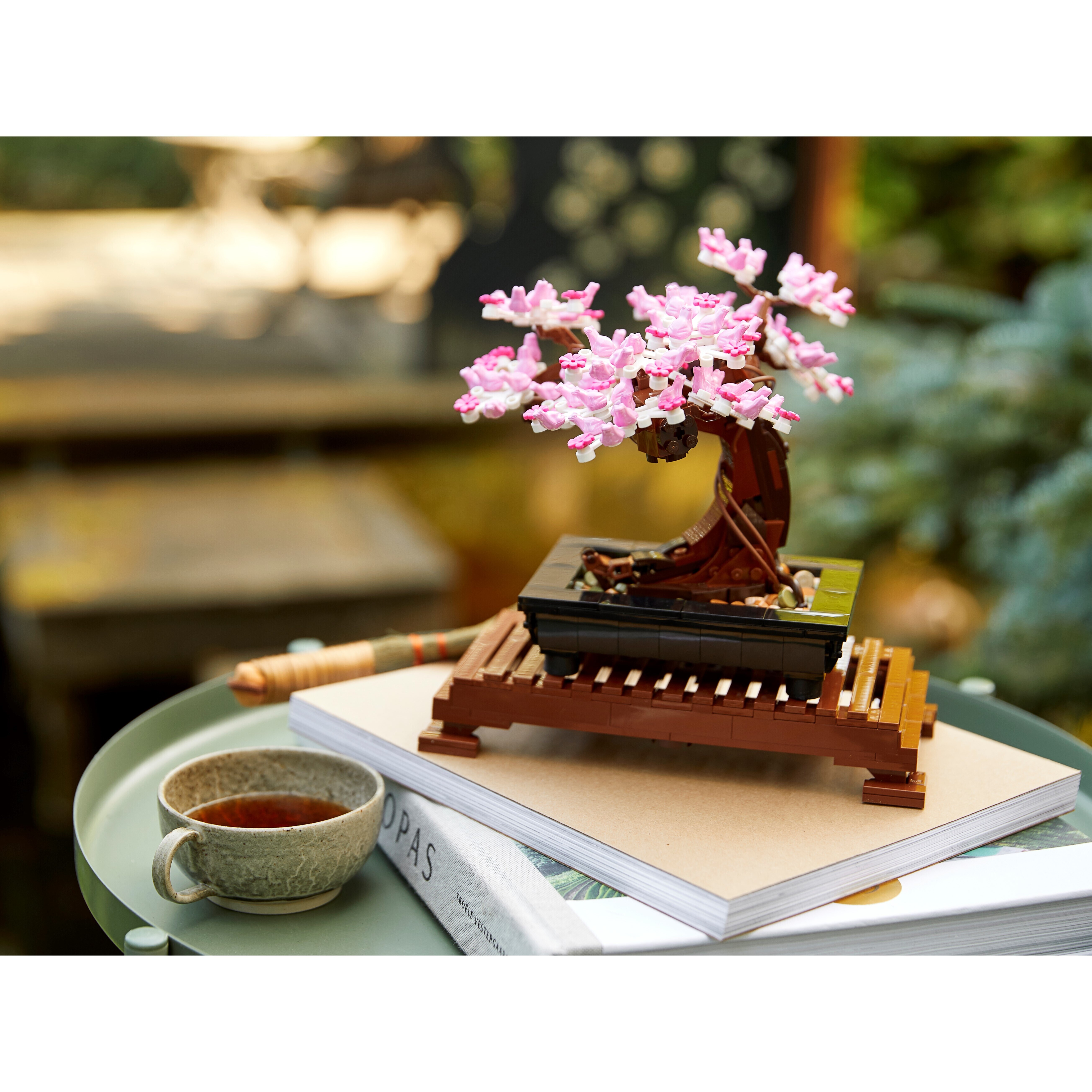 Bonsai Tree - Image 4