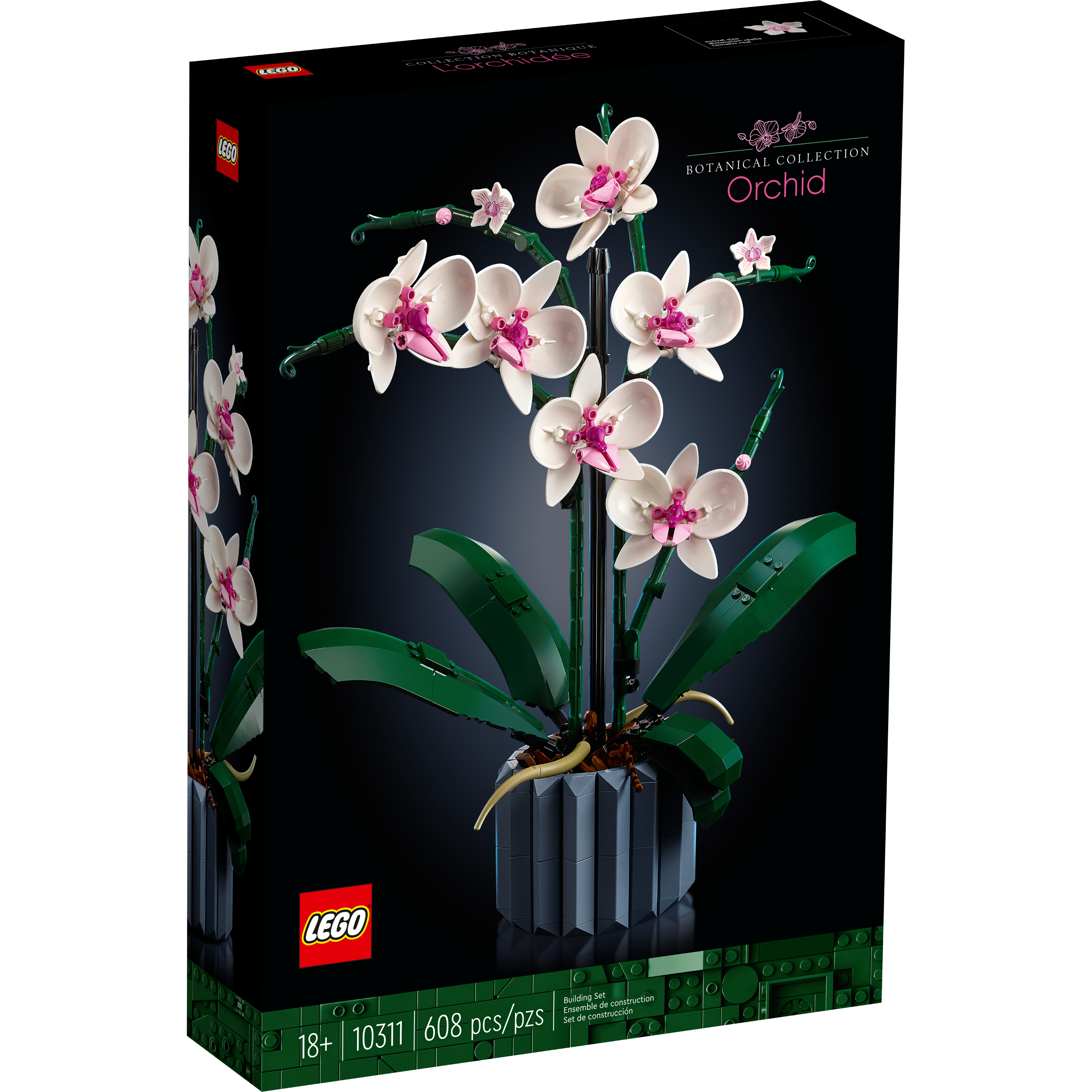 Orchid - Image 2