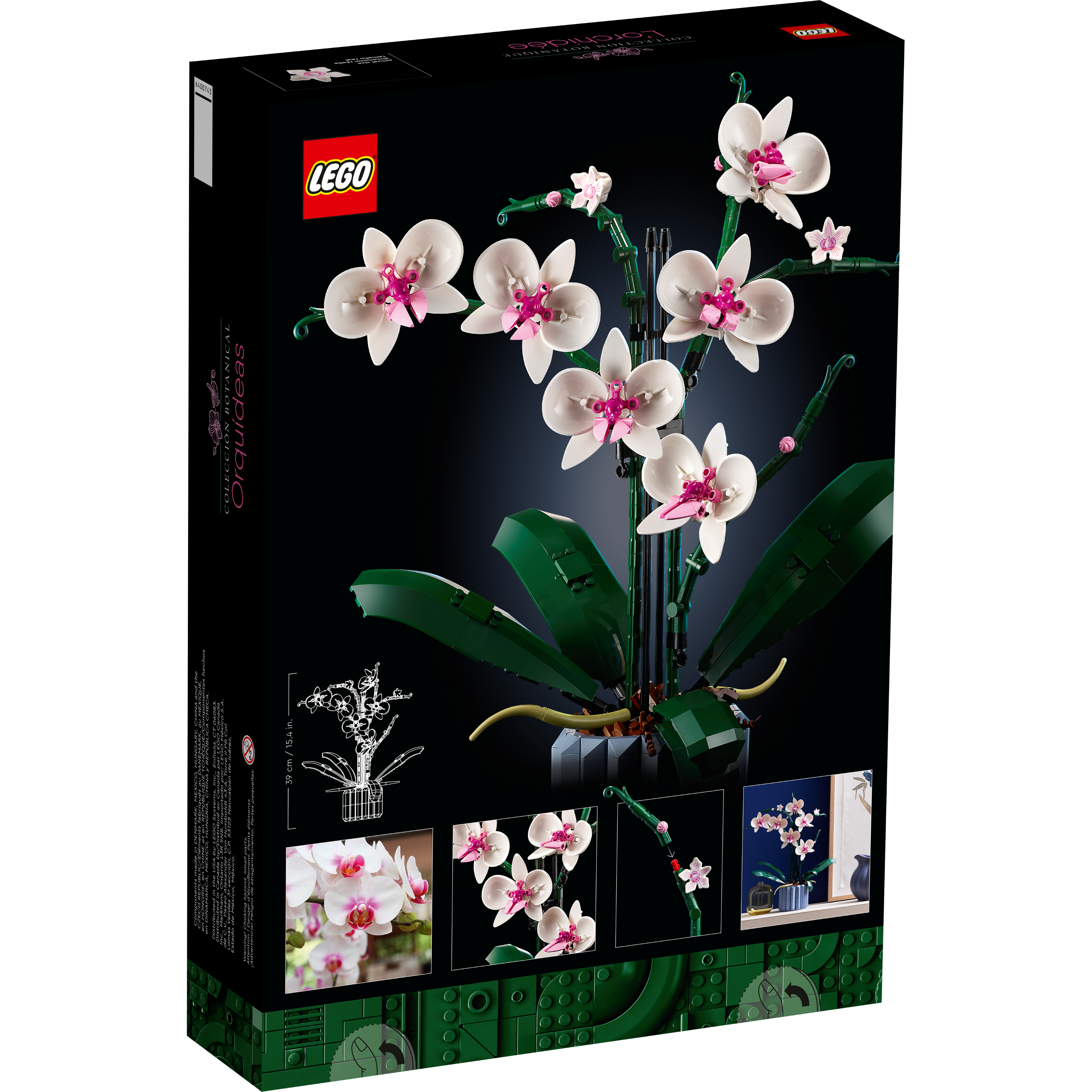Orchid - Image 8