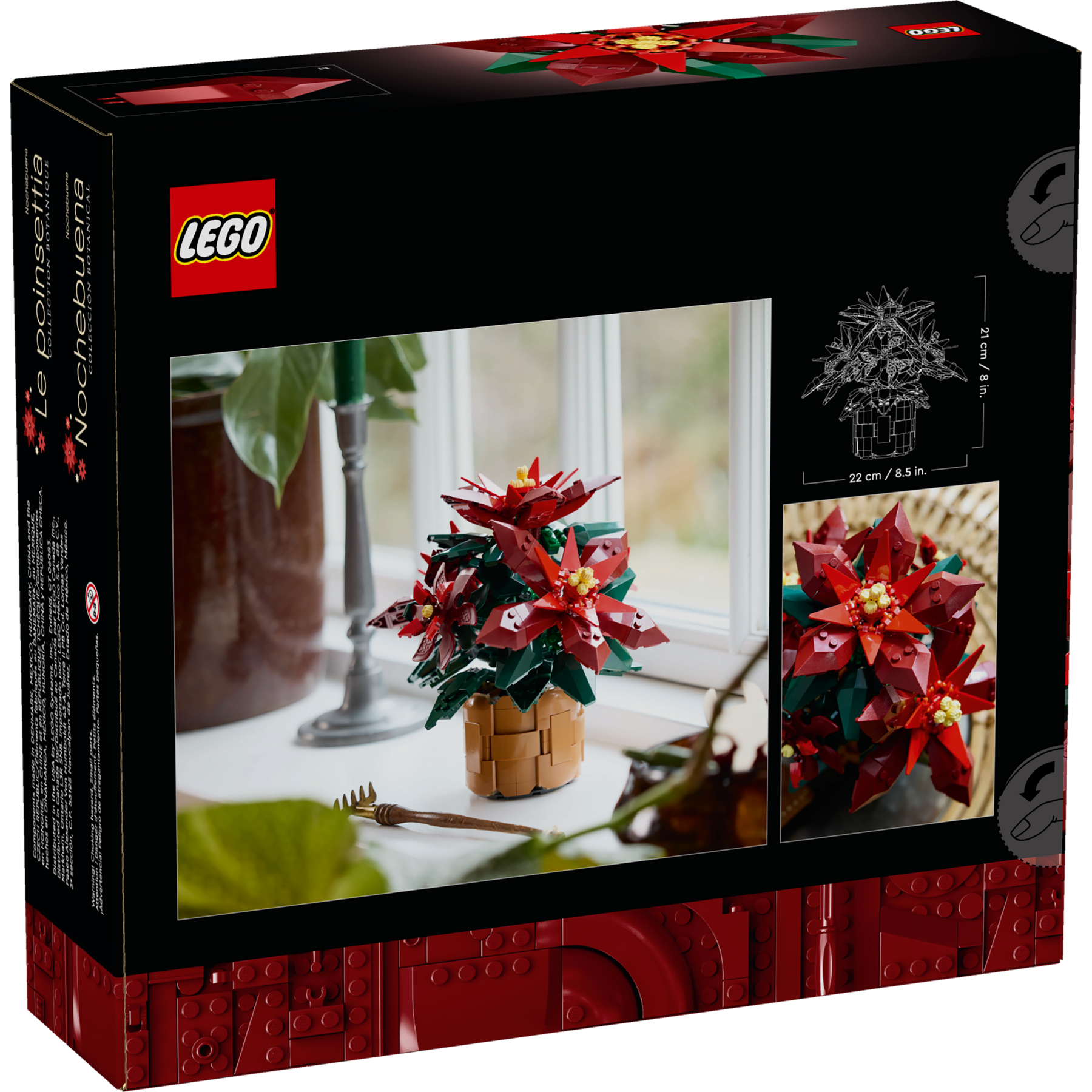 Poinsettia - Image 9