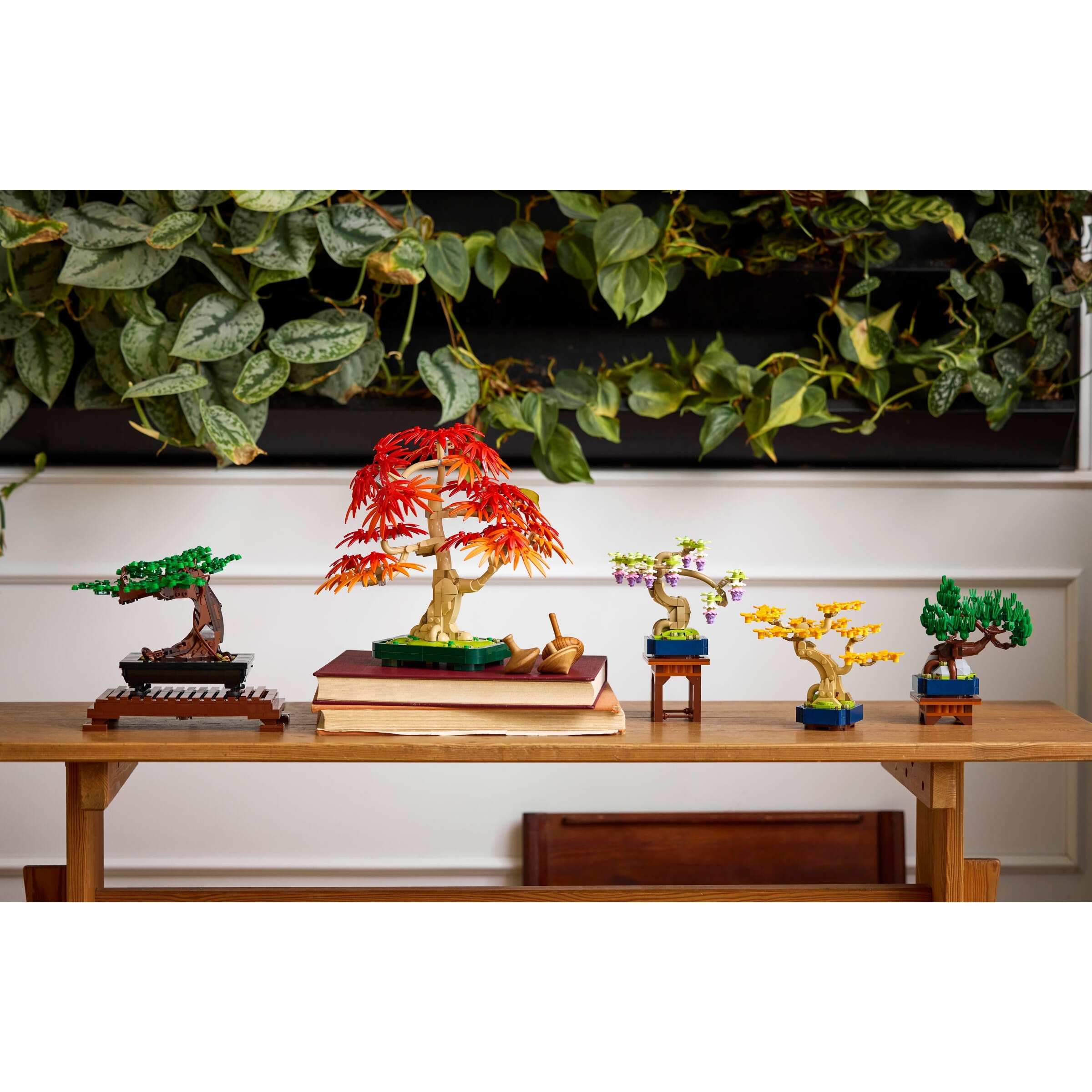 Mini Bonsai Trees - Image 14
