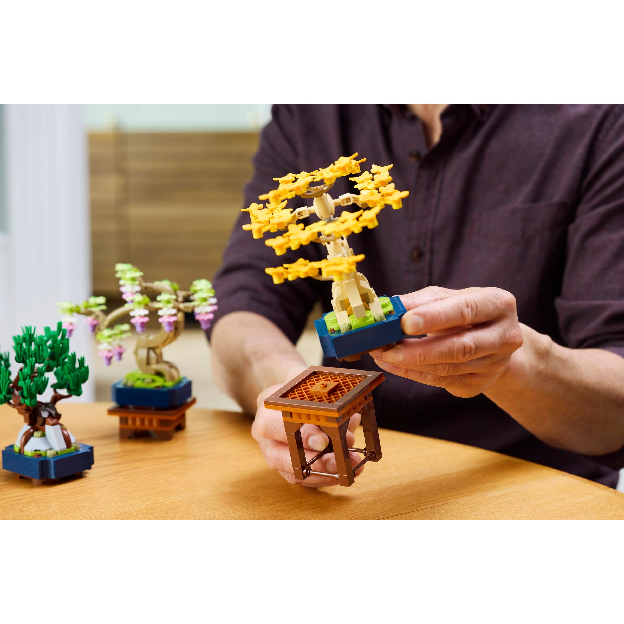 Mini Bonsai Trees - Image 12