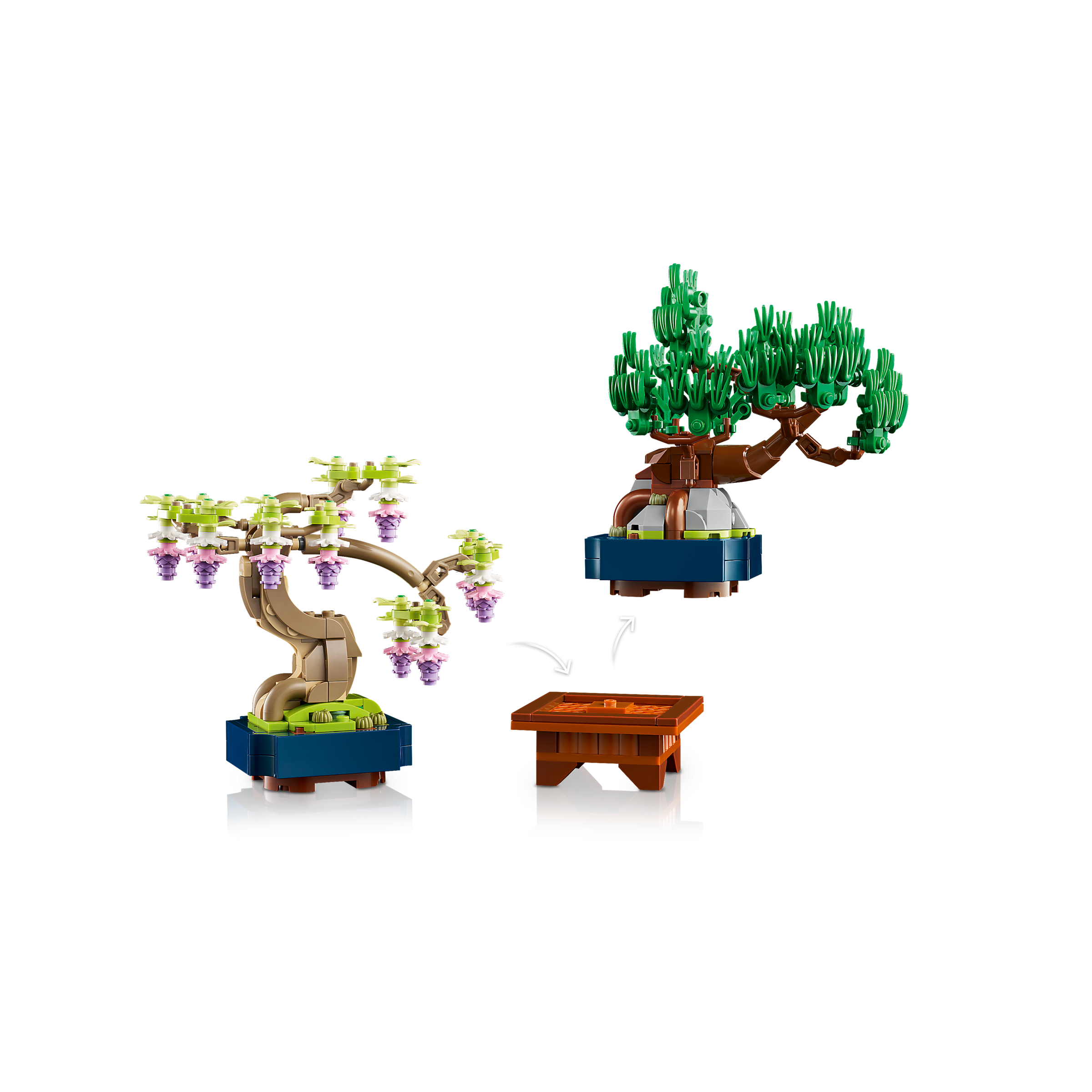 Mini Bonsai Trees - Image 9