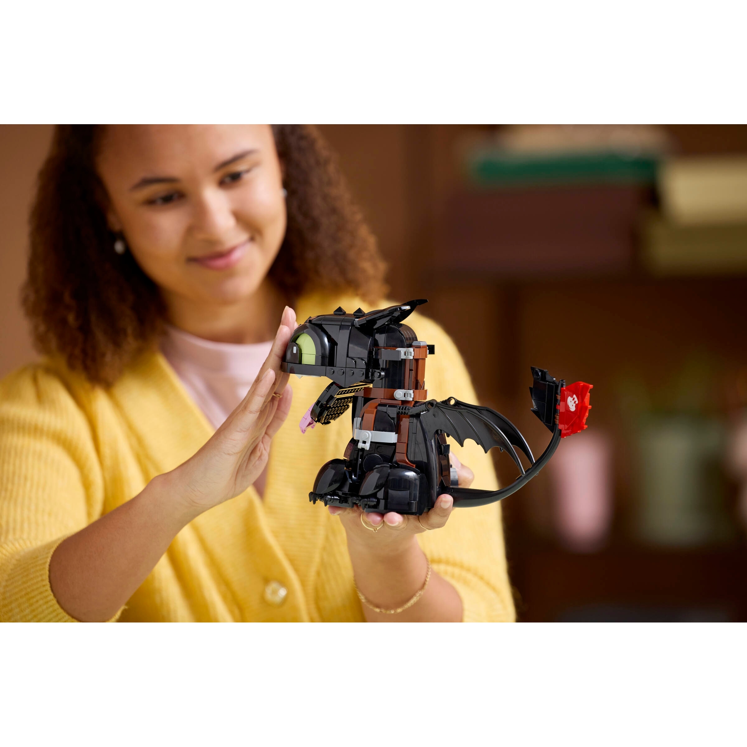 How To Train Your Dragon: Toothless - Image 15