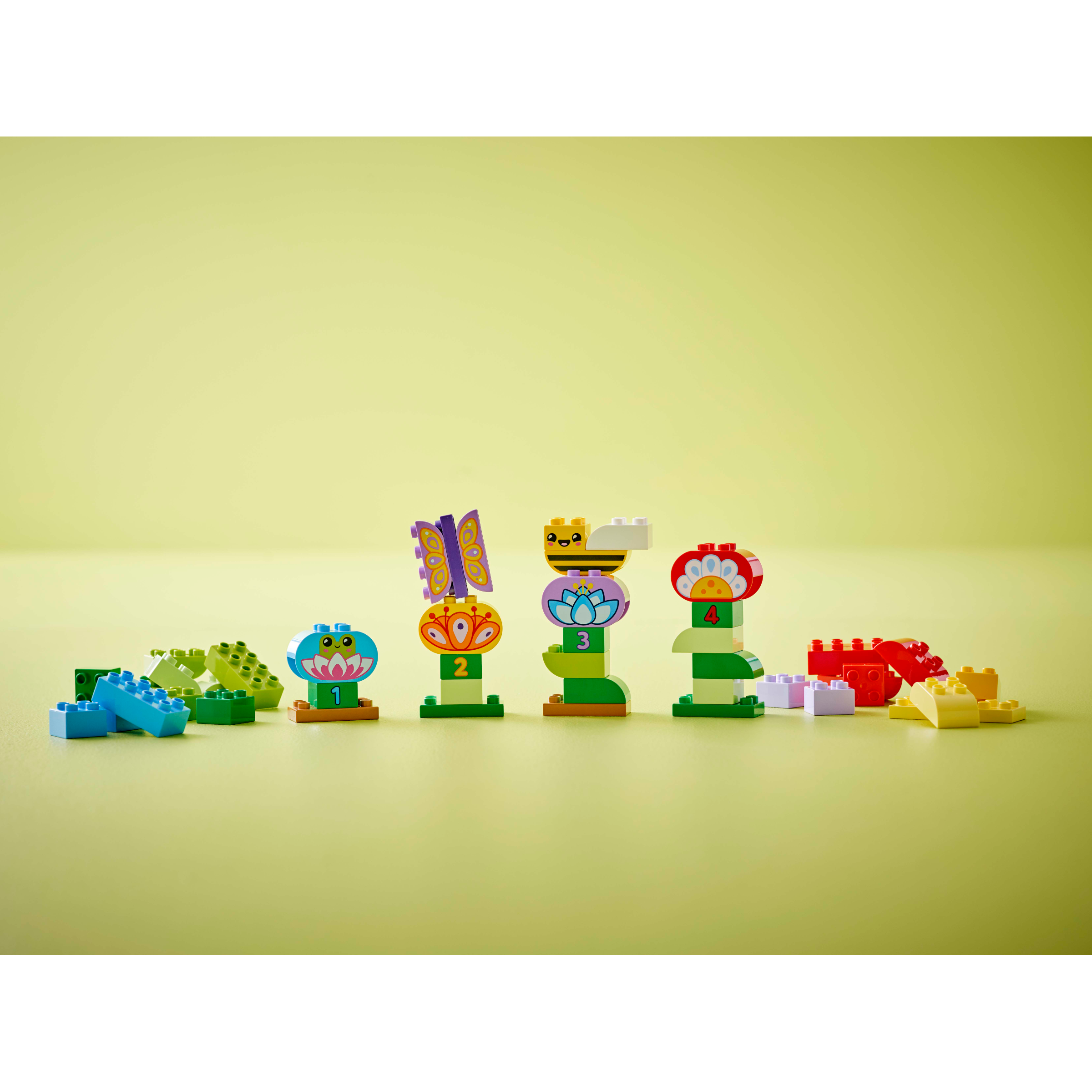 Creative Garden & Flowers - Image 7