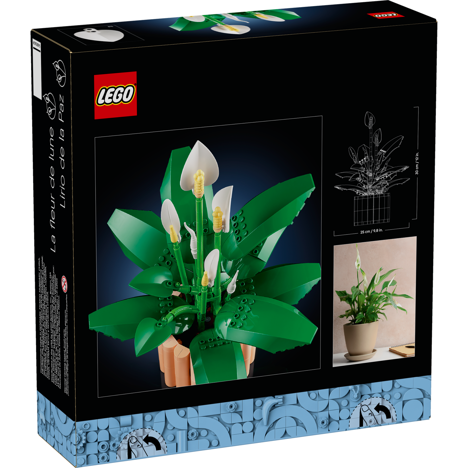 Peace Lily - Image 15