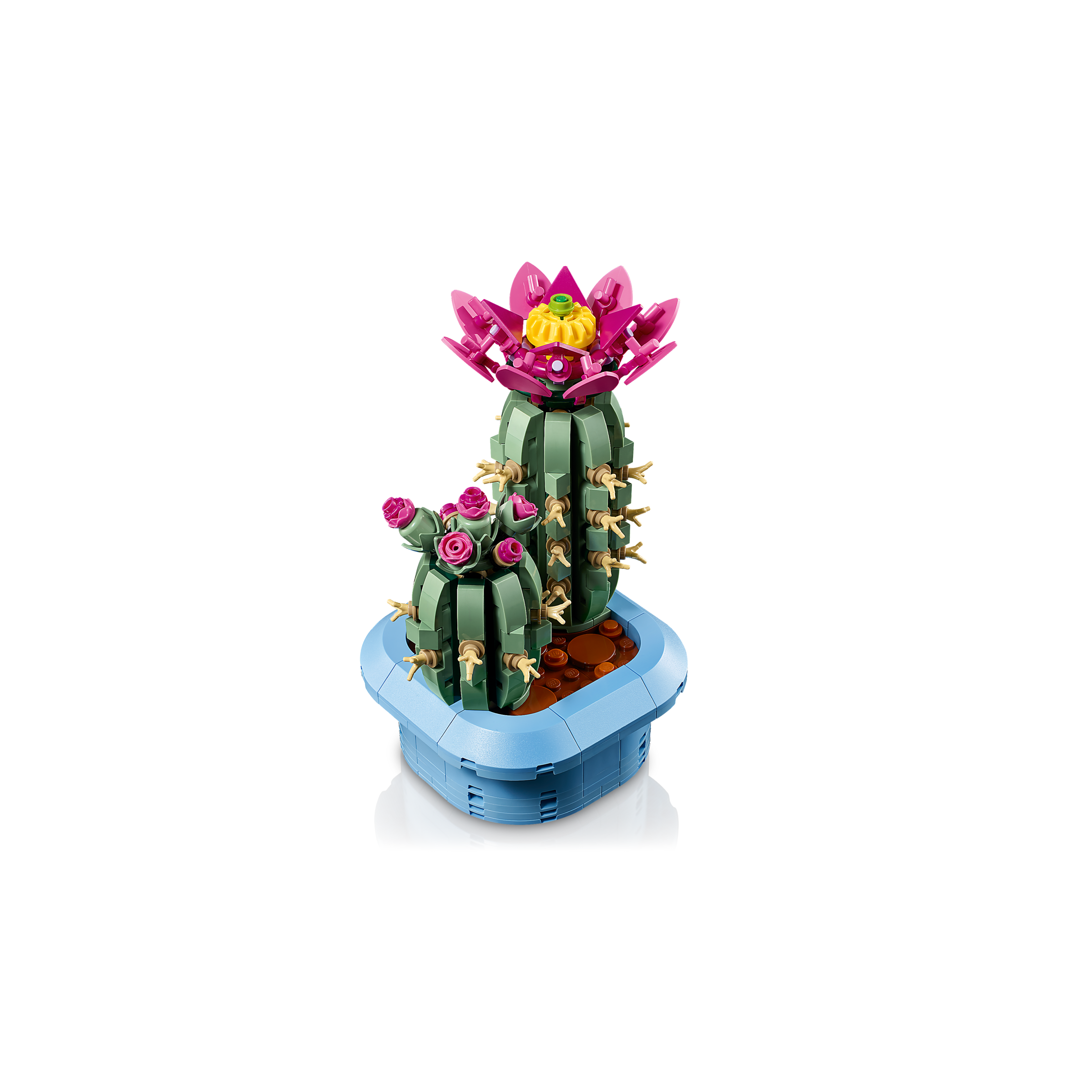 Flowering Cactus - Image 6