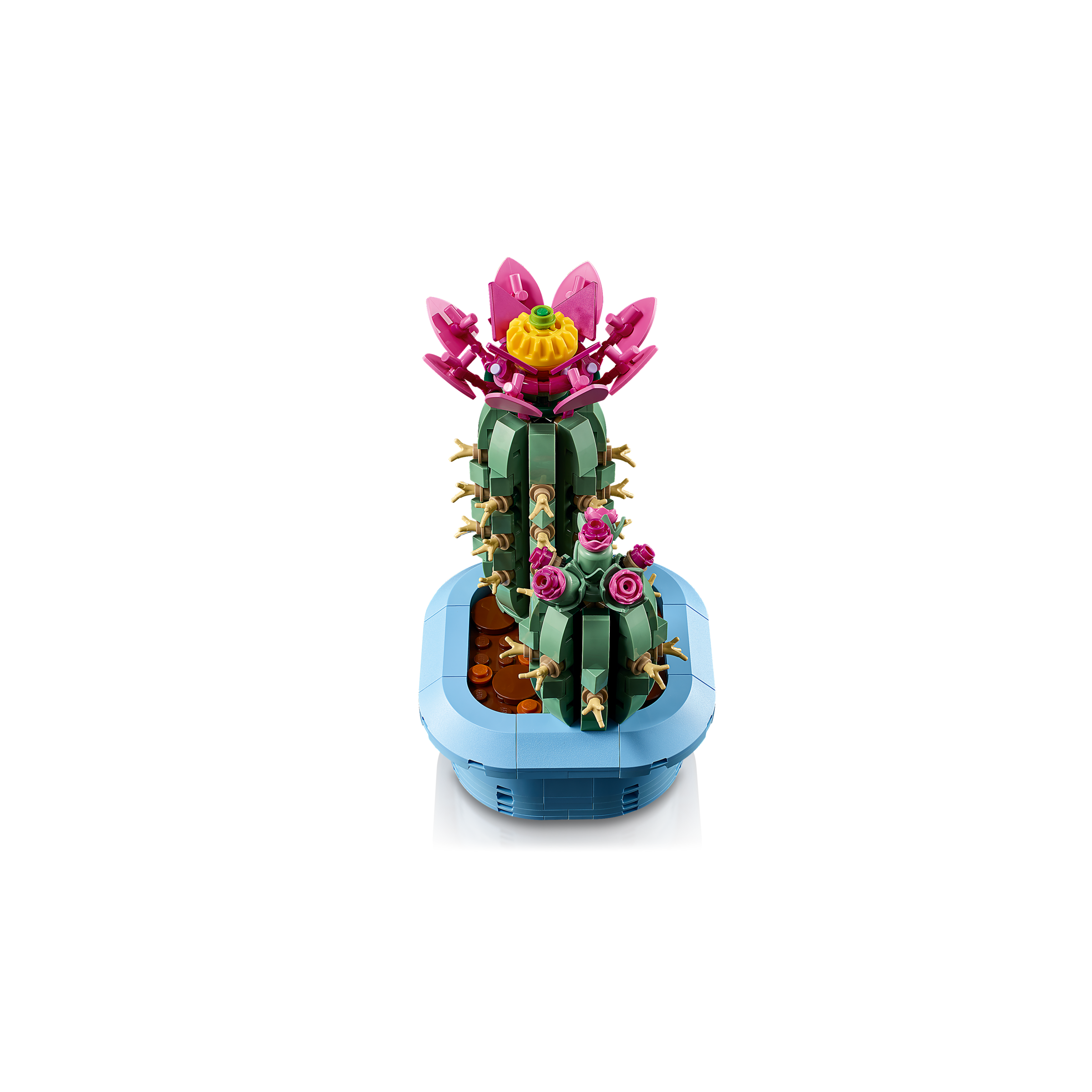 Flowering Cactus - Image 5