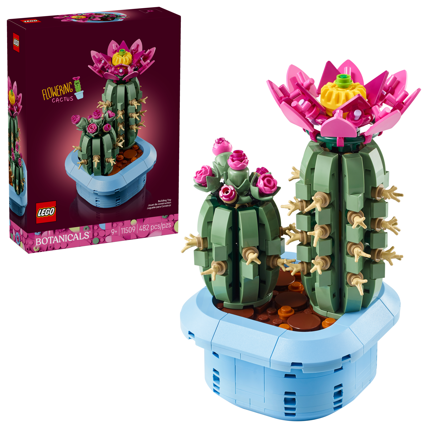 Flowering Cactus - Image 2