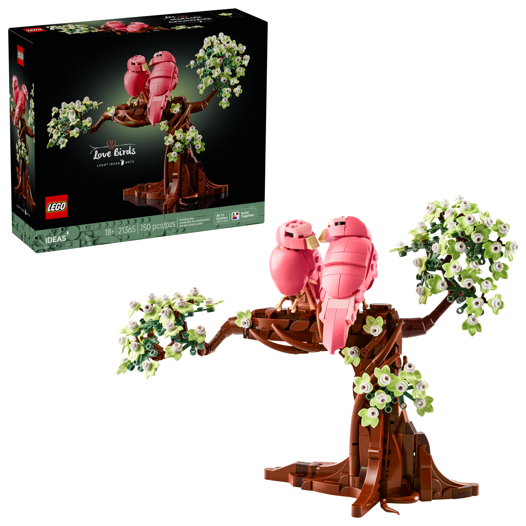 Love Birds - Image 2