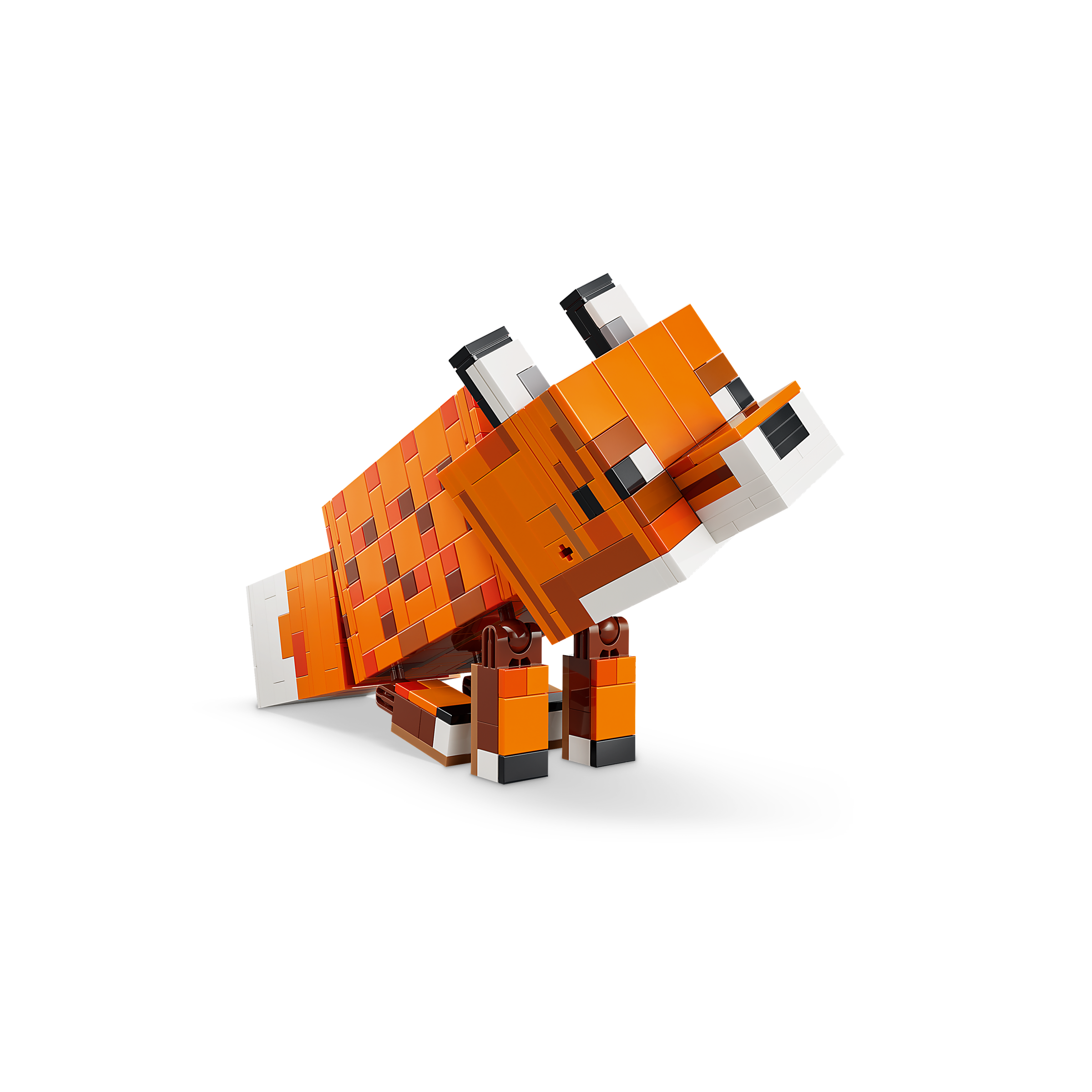 The Fox - Image 6