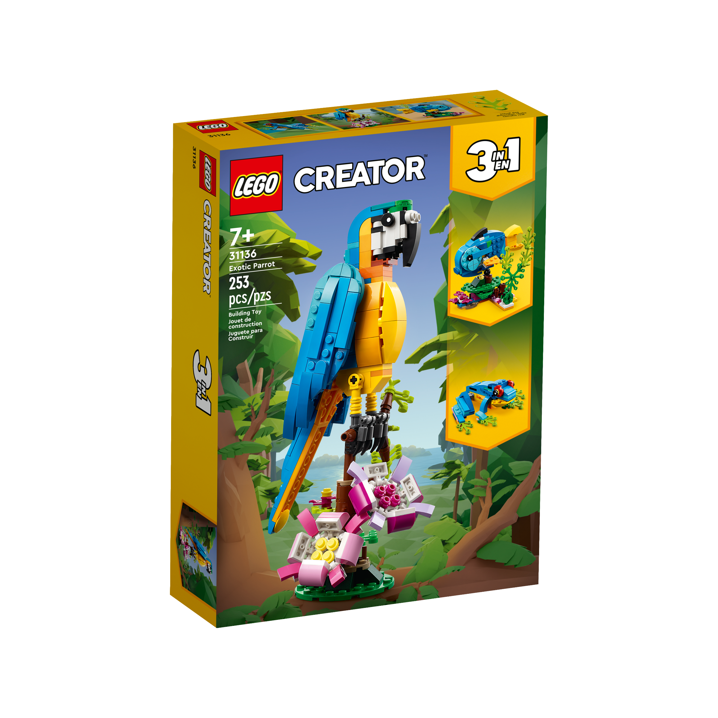 Exotic Parrot - Image 2