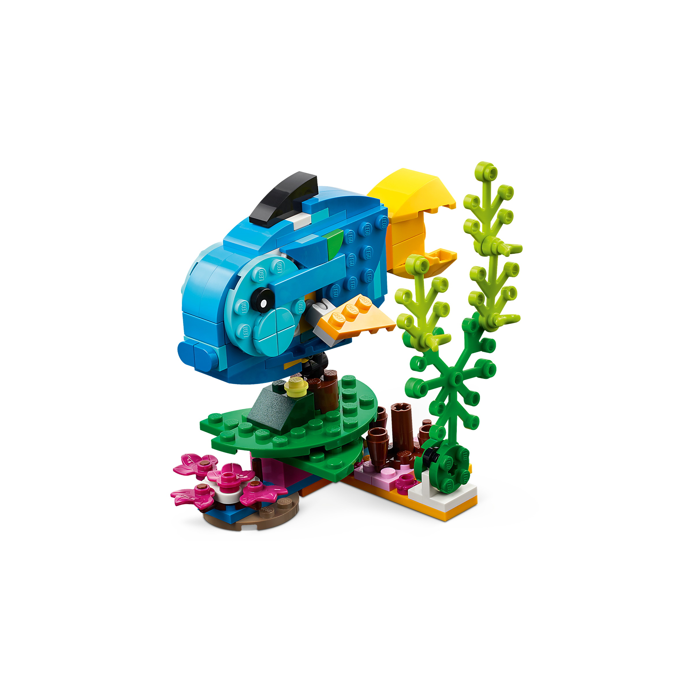Exotic Parrot - Image 6