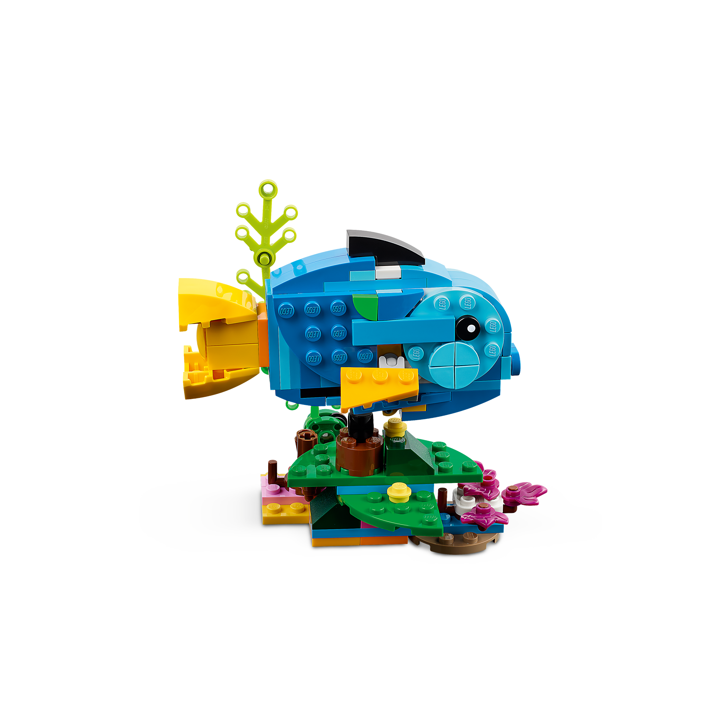 Exotic Parrot - Image 7