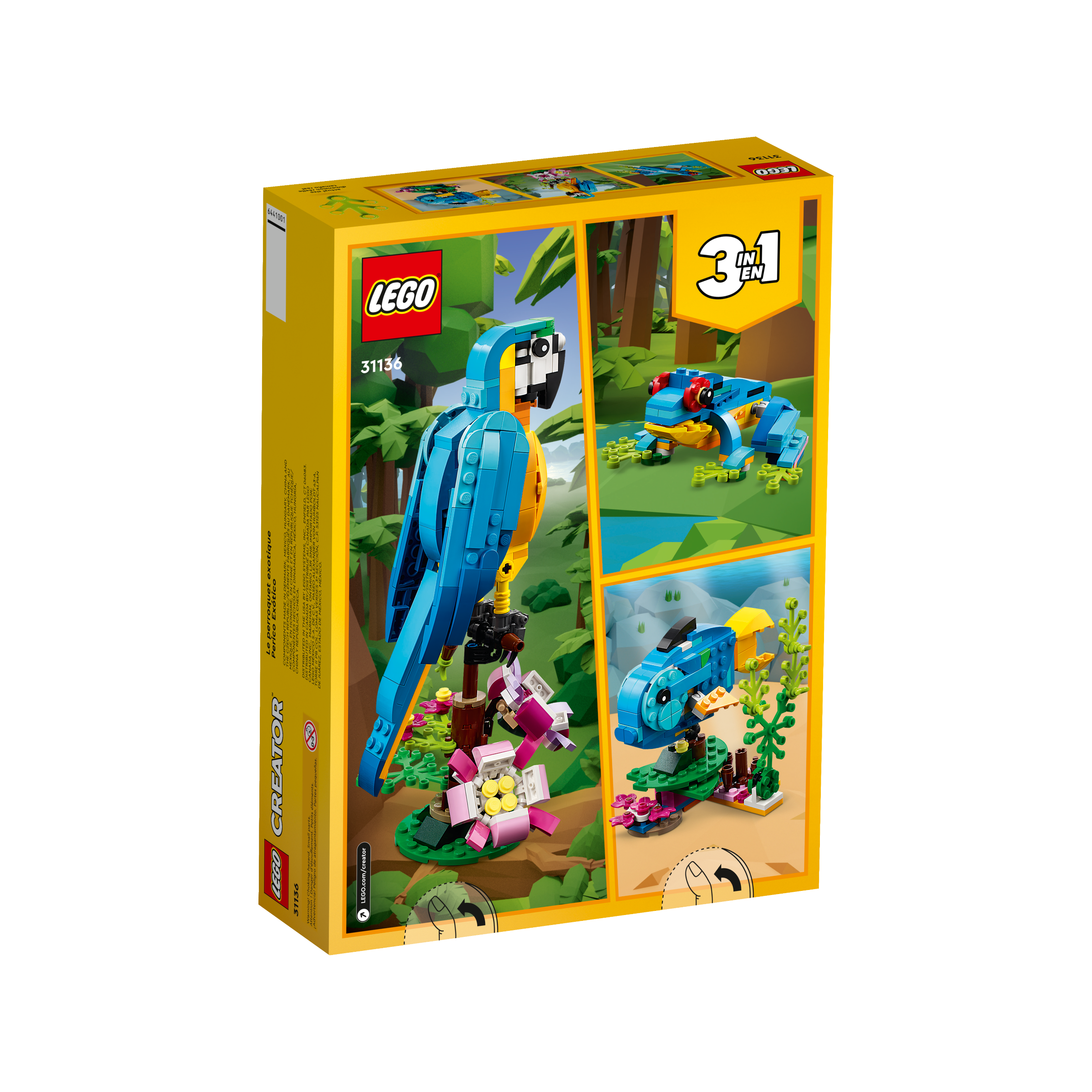 Exotic Parrot - Image 8