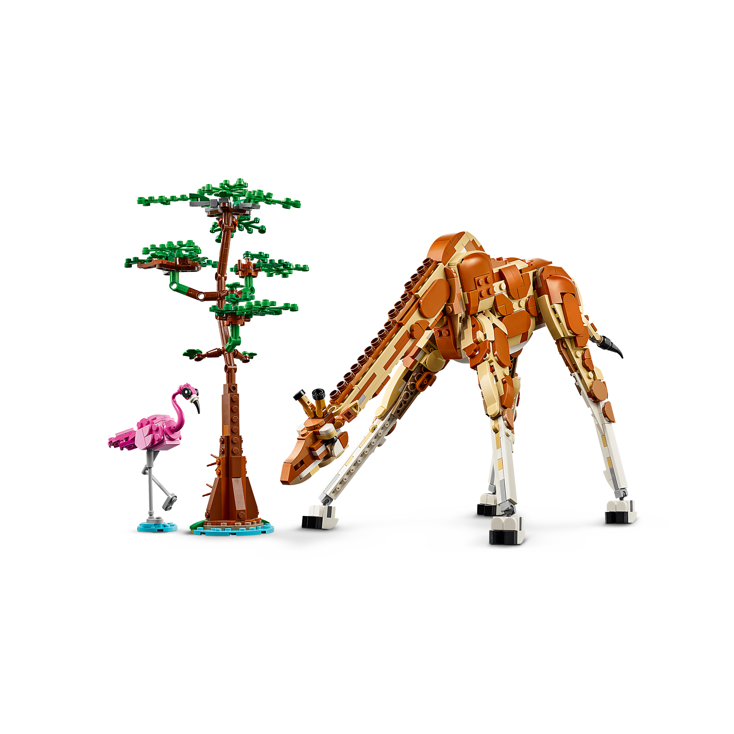 Wild Safari Animals - Image 3