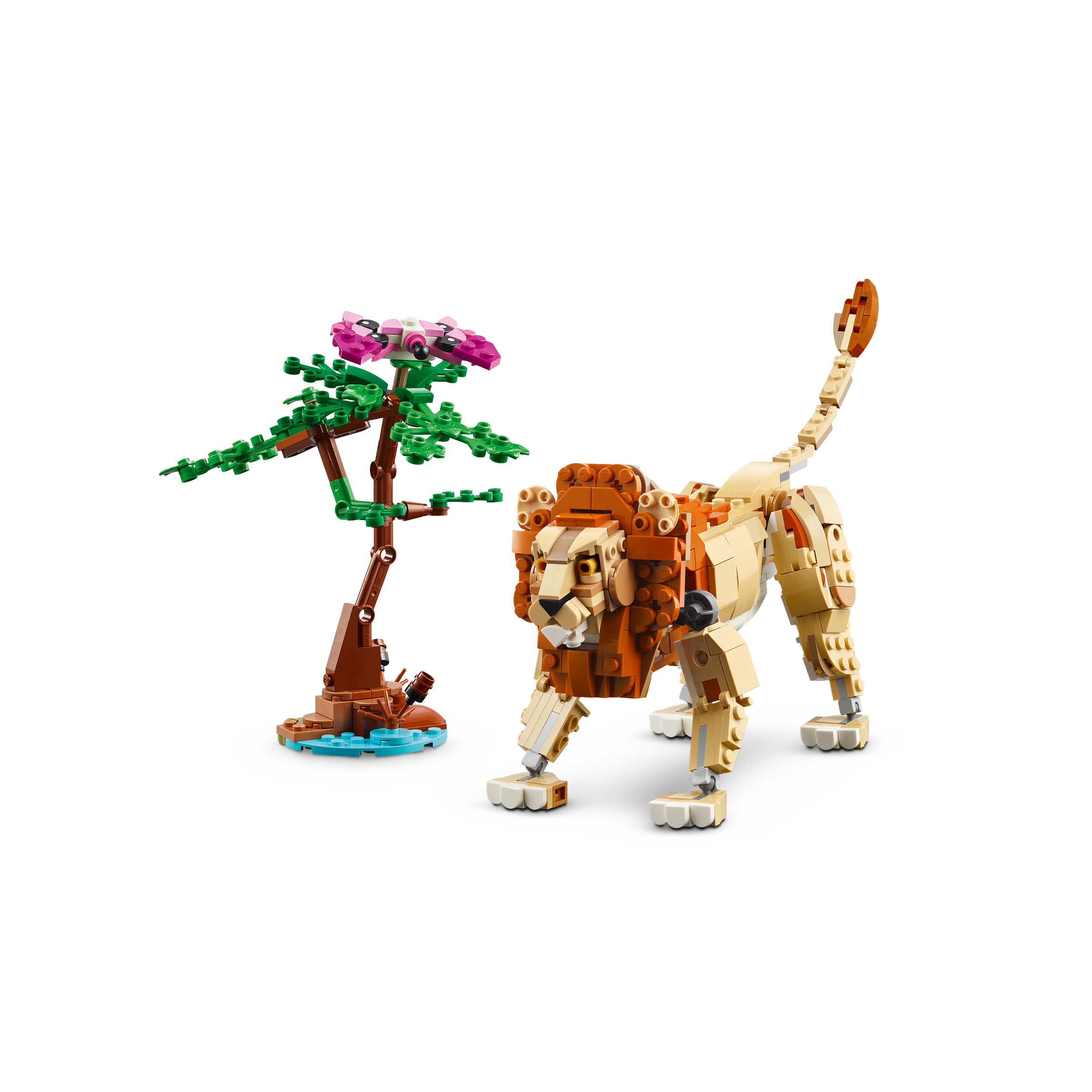 Wild Safari Animals - Image 4
