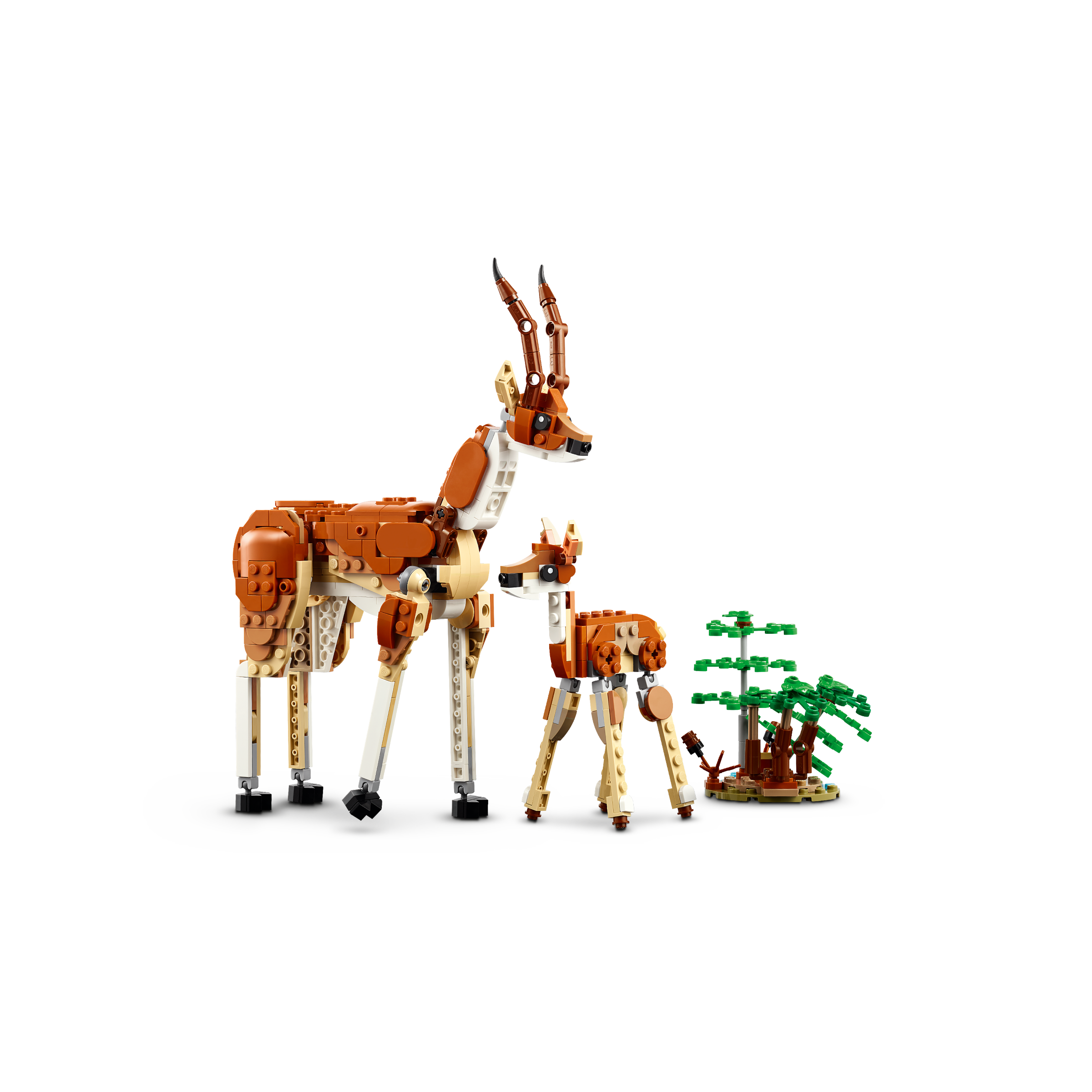 Wild Safari Animals - Image 6
