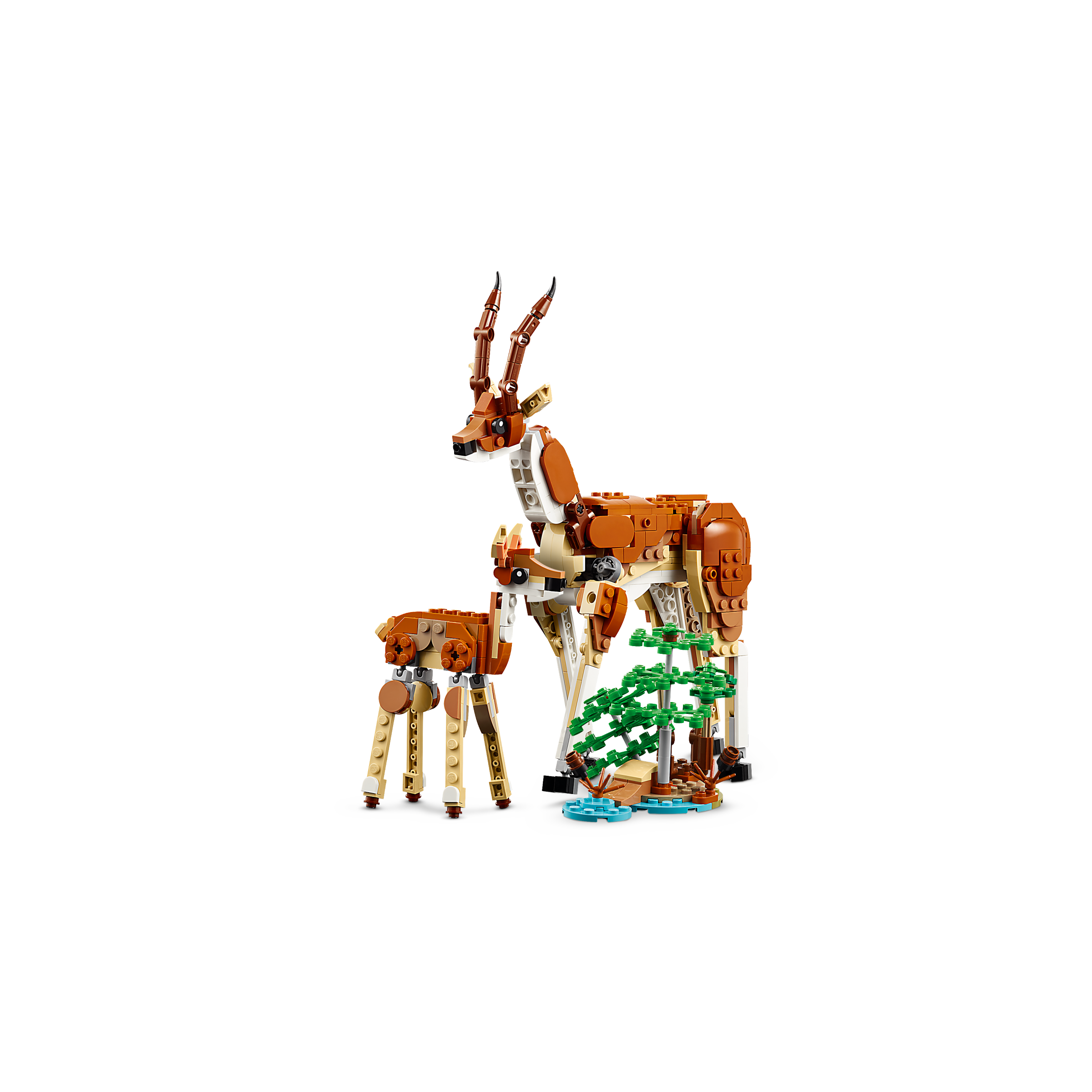 Wild Safari Animals - Image 7