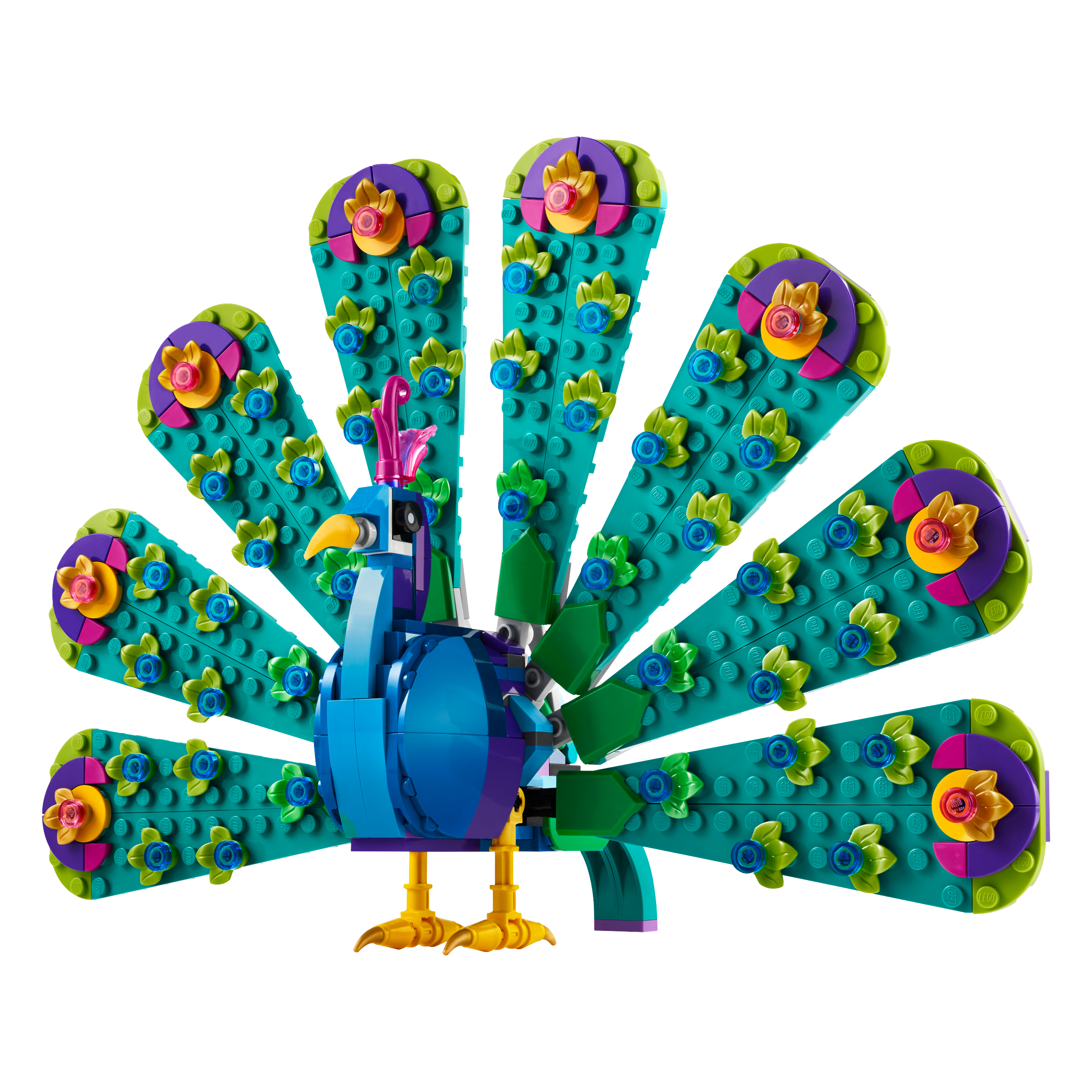 Exotic Peacock