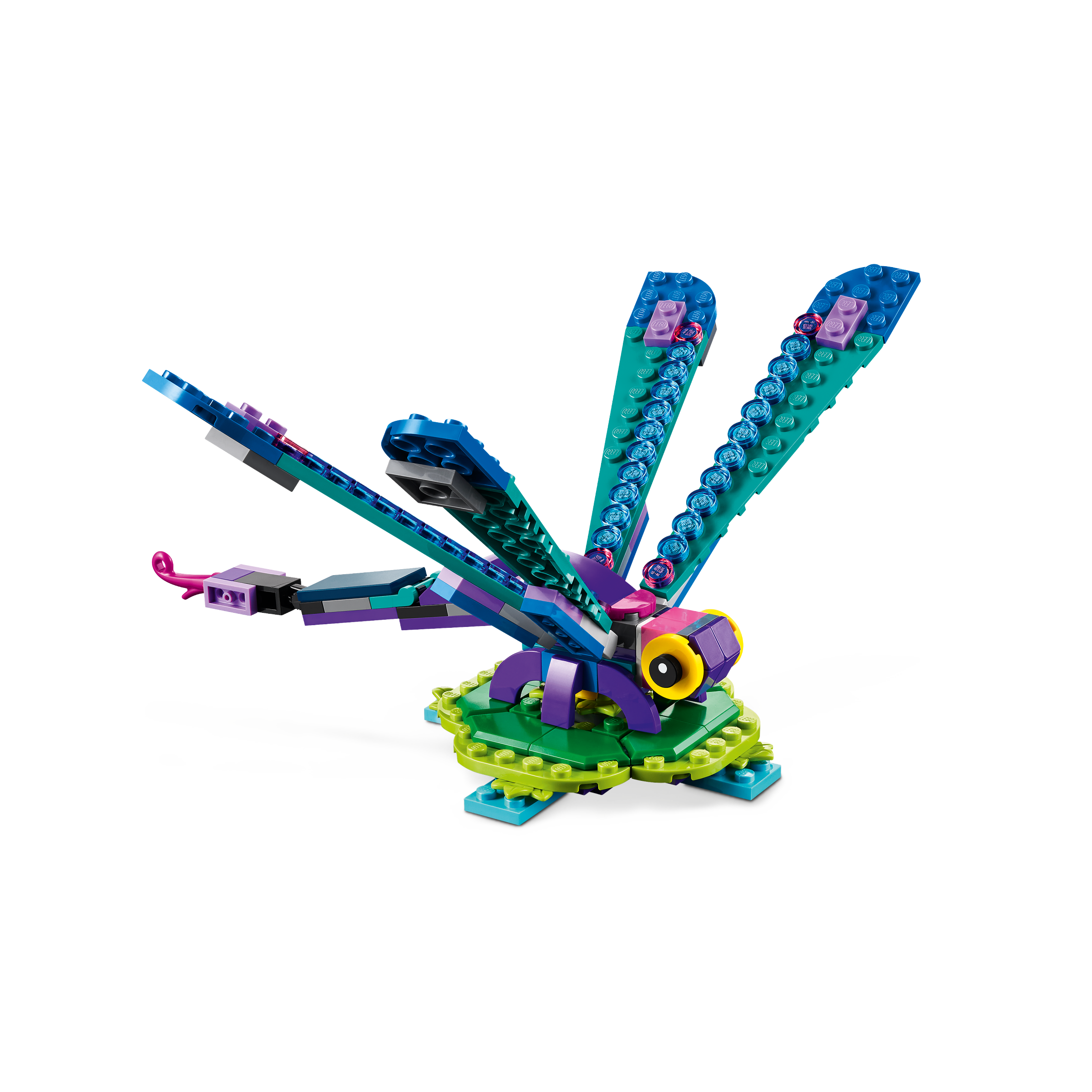 Exotic Peacock - Image 4