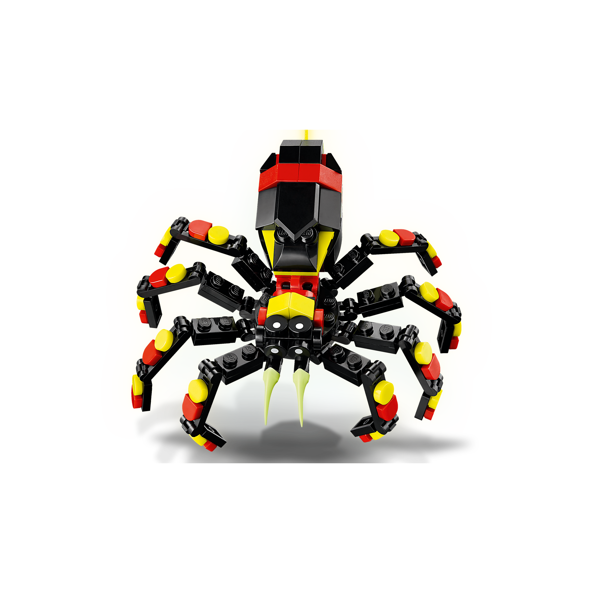 Wild Animals: Surprising Spider - Image 3