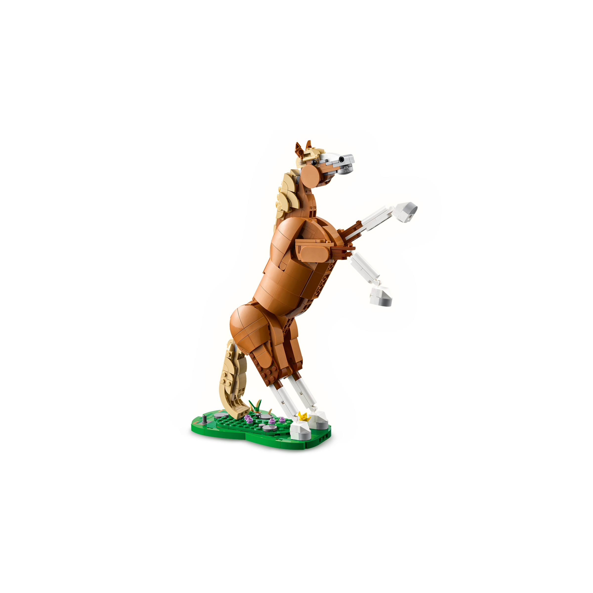 Beautiful Horse - Image 3