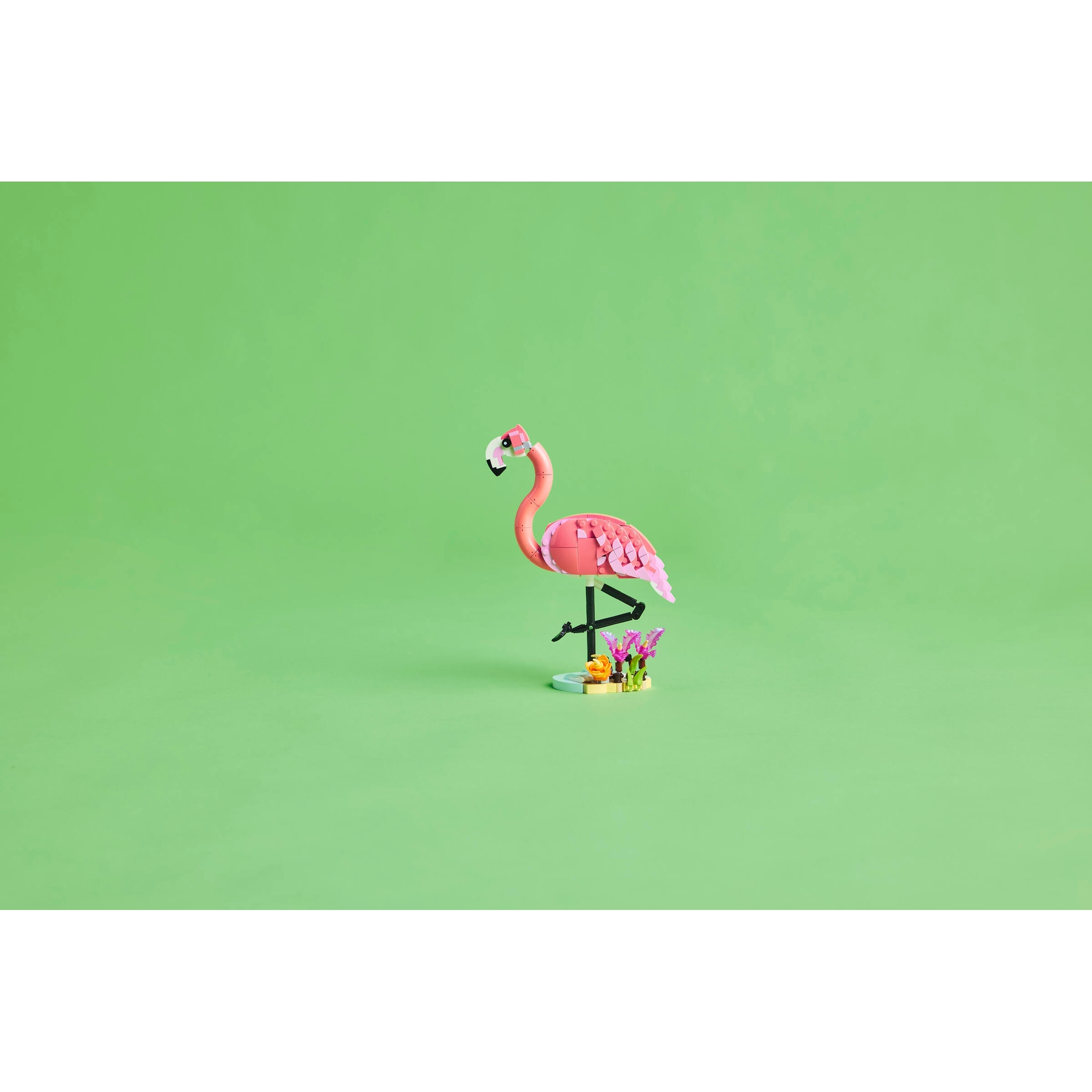 Wild Animals: Pink Flamingo - Image 9