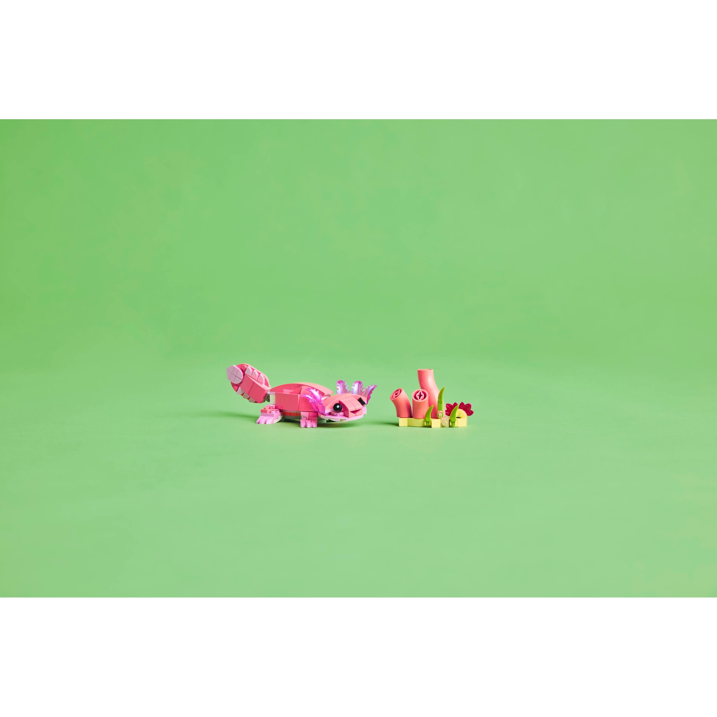 Wild Animals: Pink Flamingo - Image 11