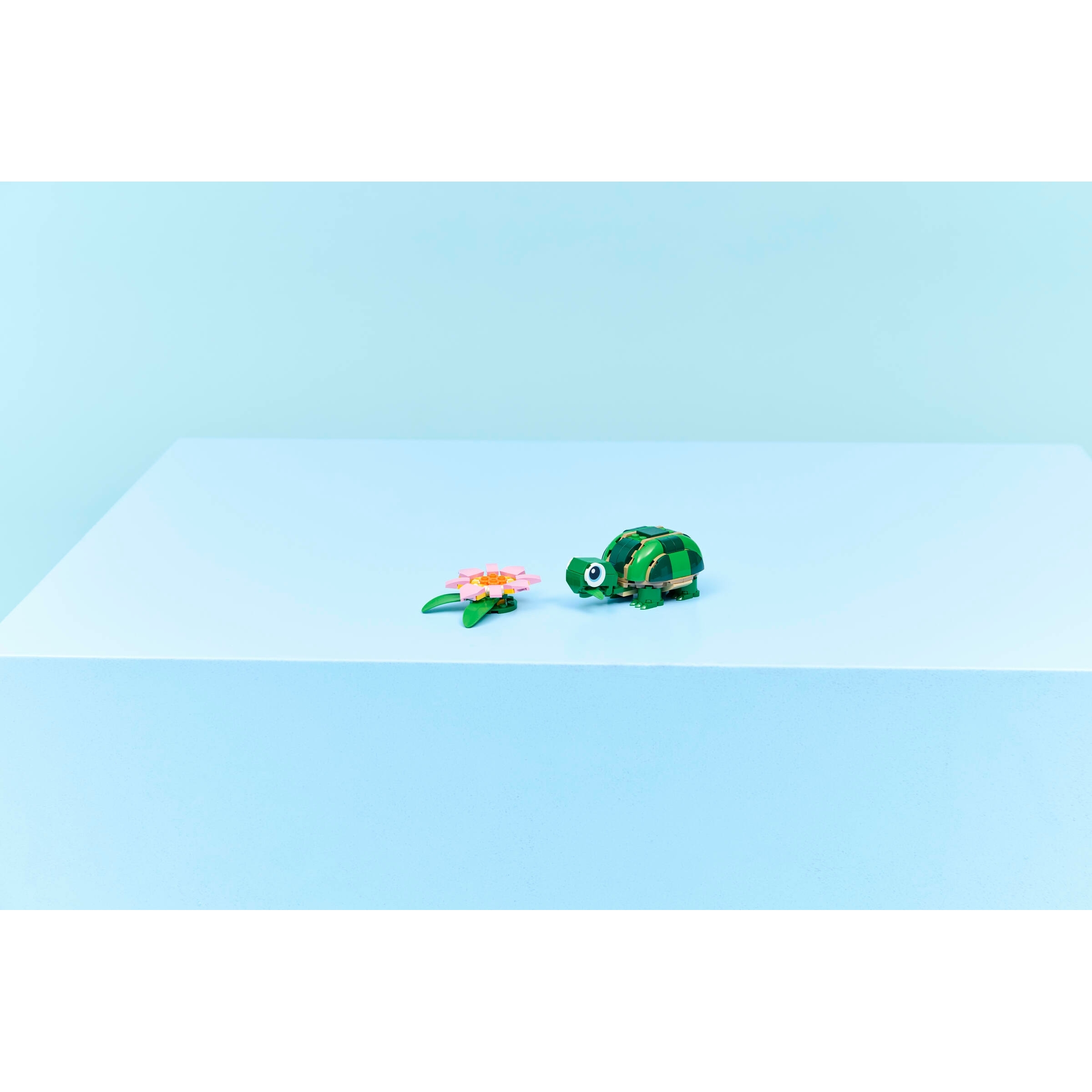 Turtle With A Water Lily Flower - Image 8