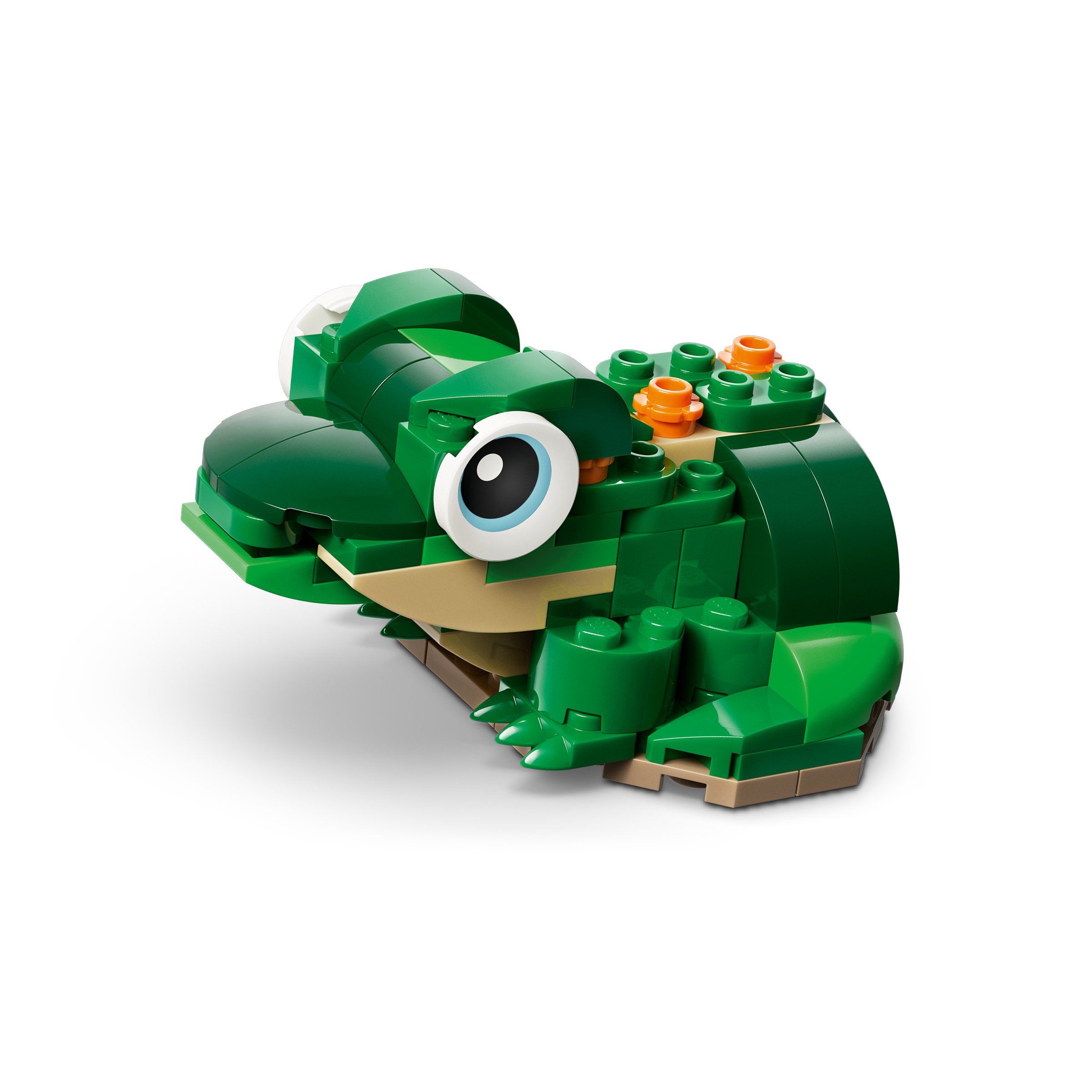 Turtle With A Water Lily Flower - Image 4