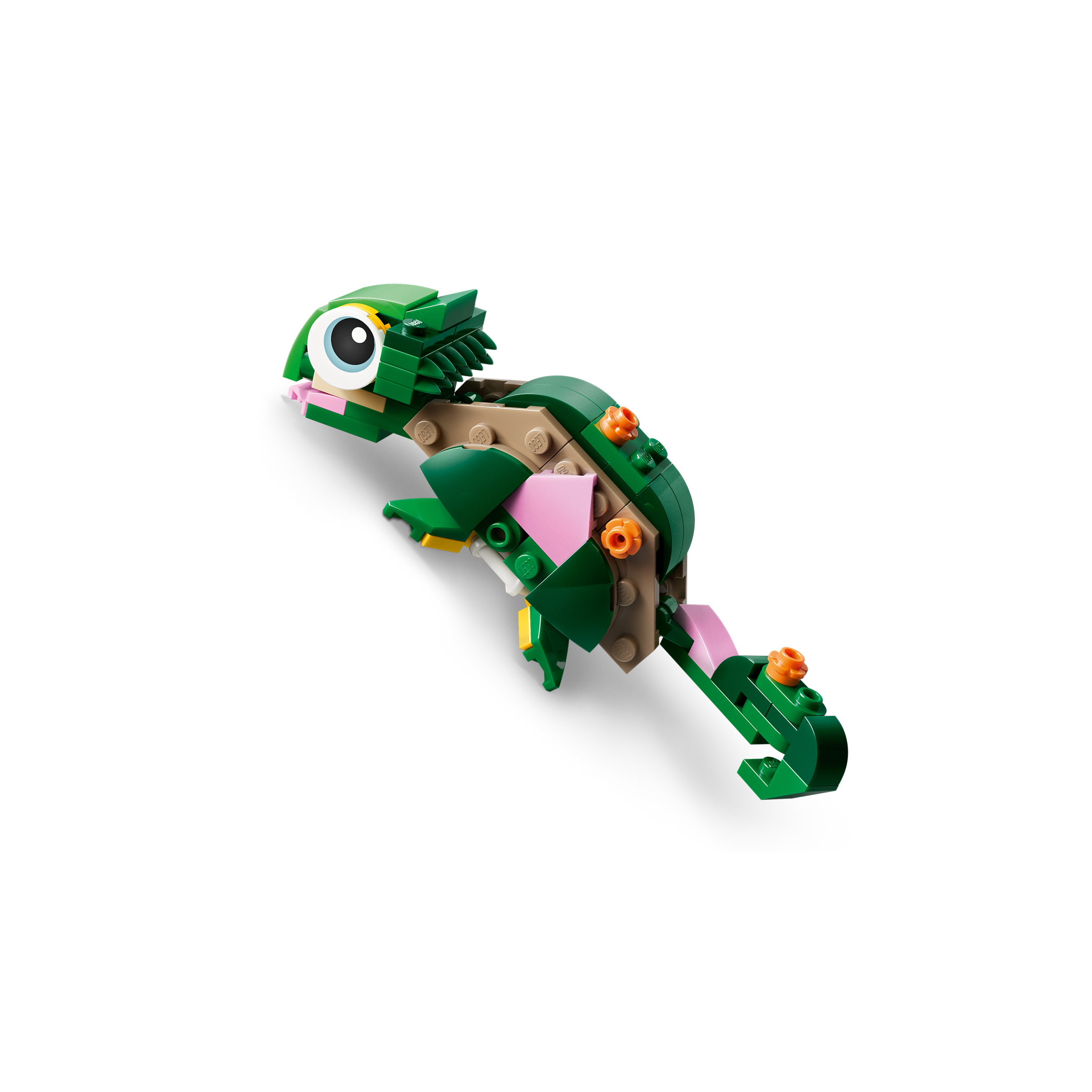 Turtle With A Water Lily Flower - Image 3