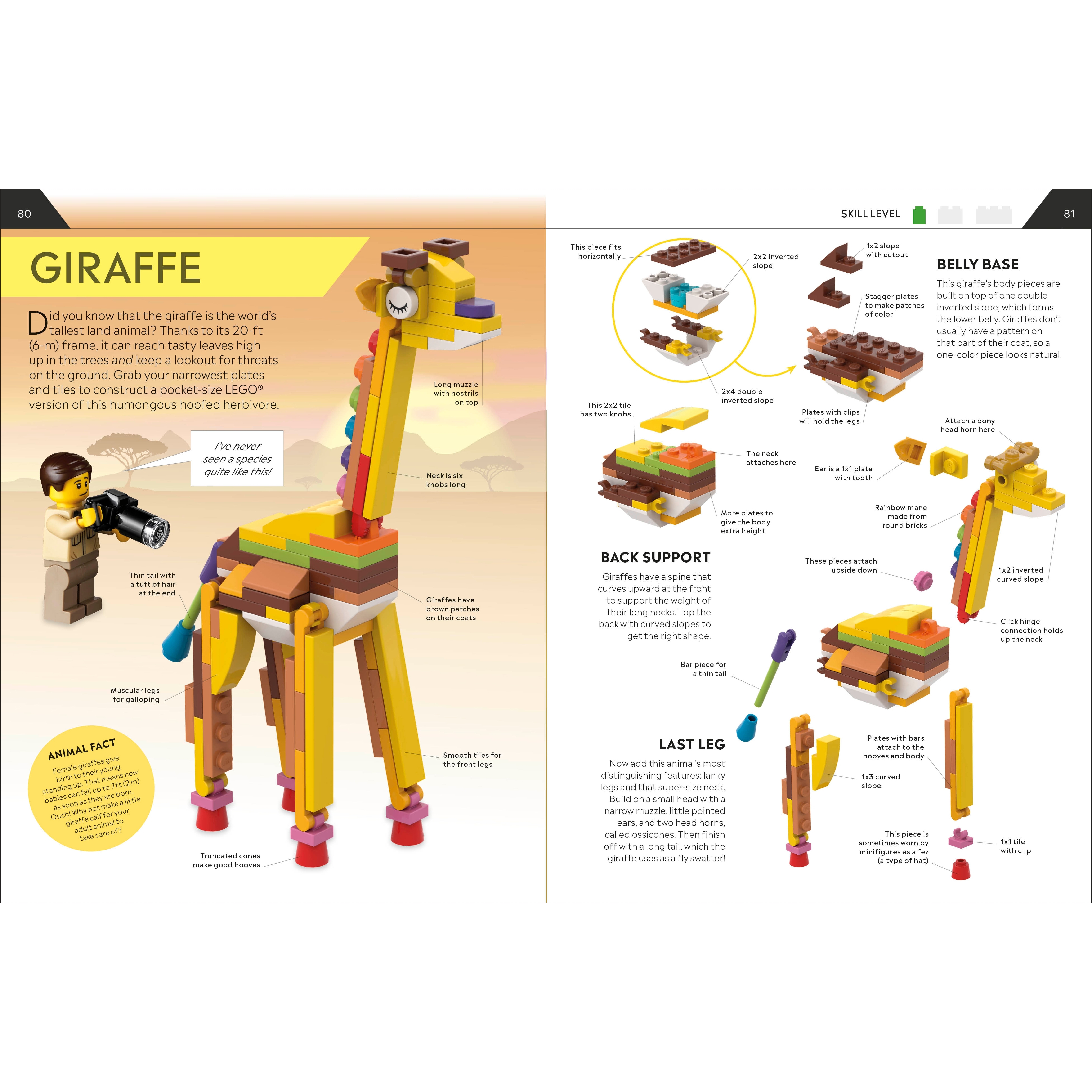 How To Build Everything! - Image 3