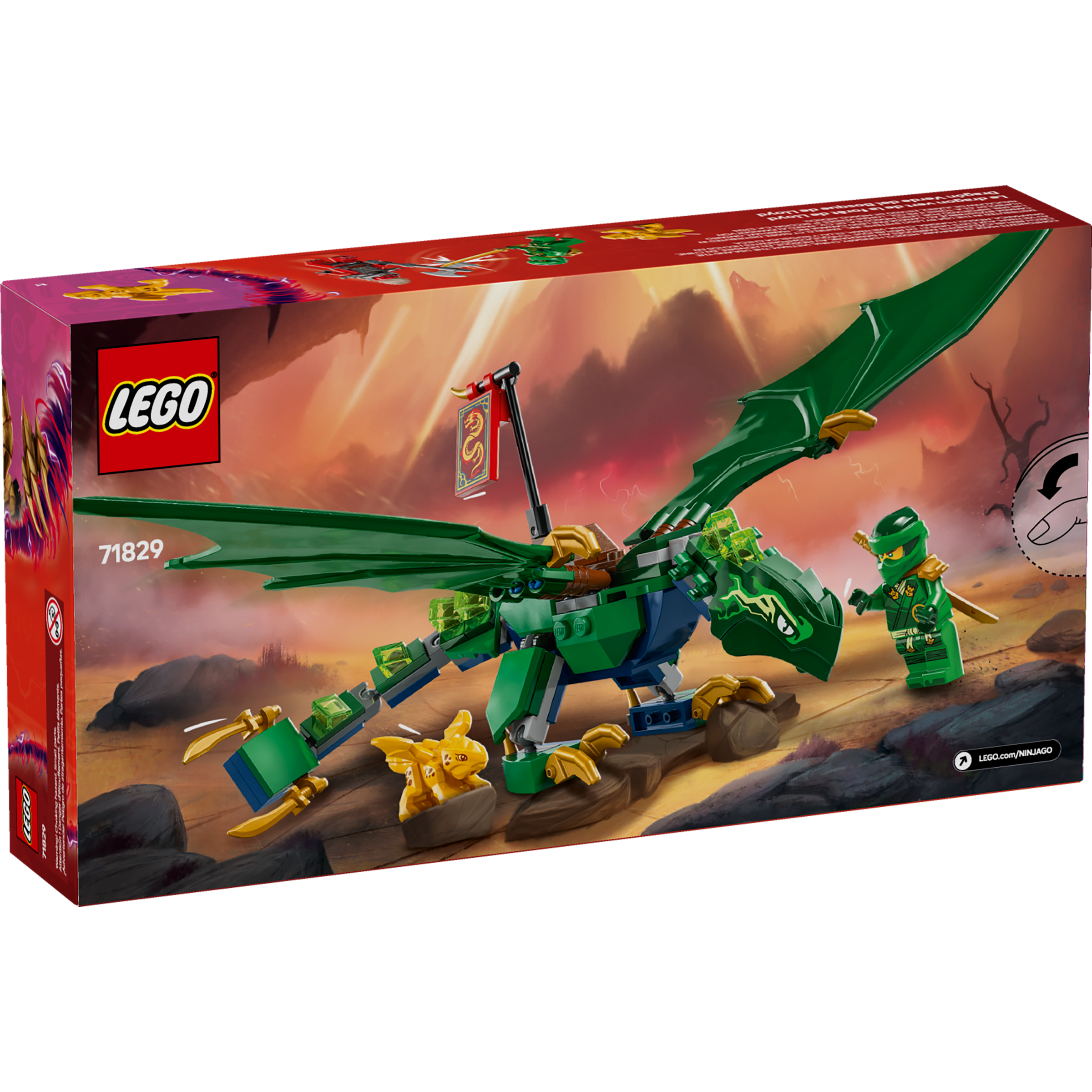 Lloyd's Green Forest Dragon - Image 8