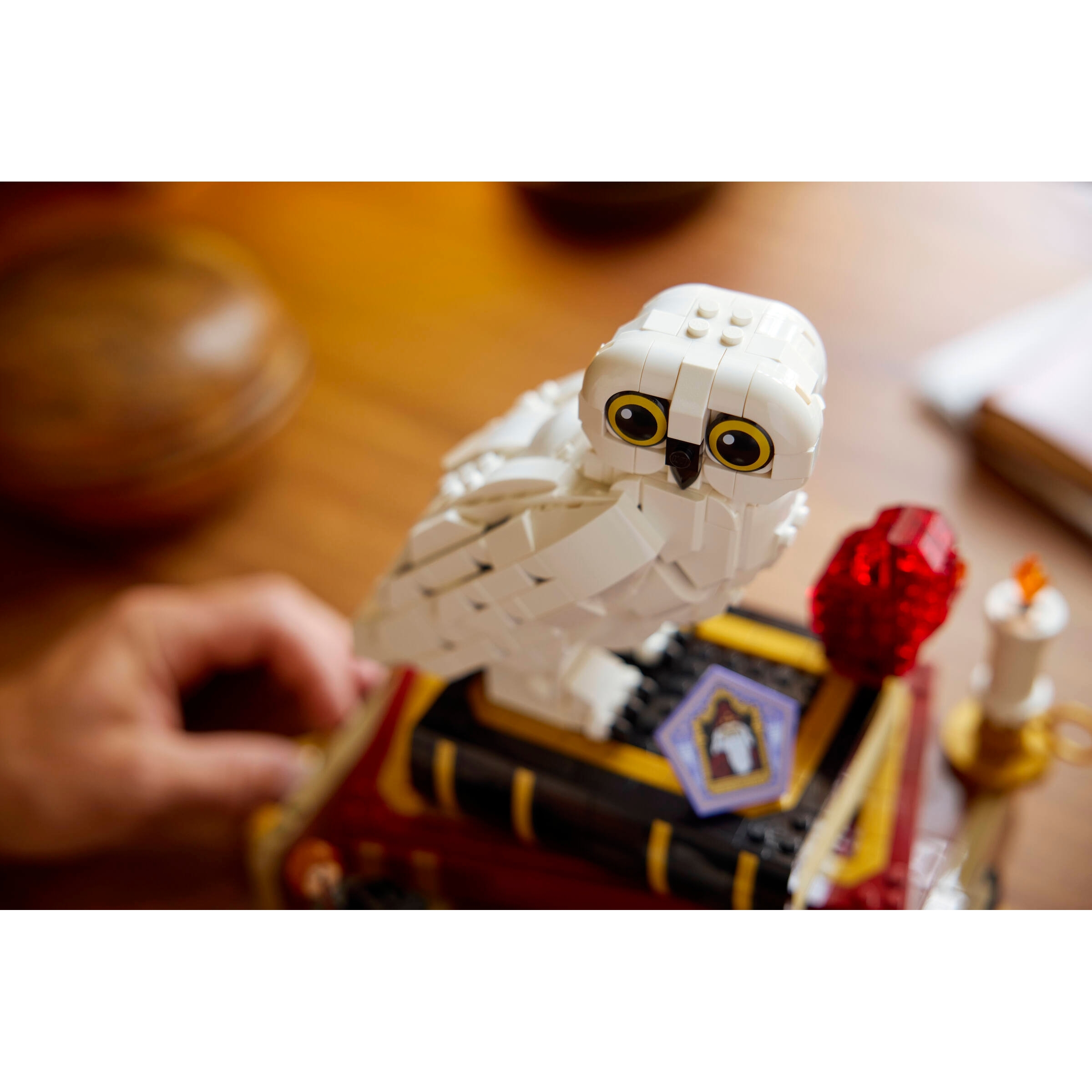 Sorcerer's Stone – Collectors' Edition - Image 12