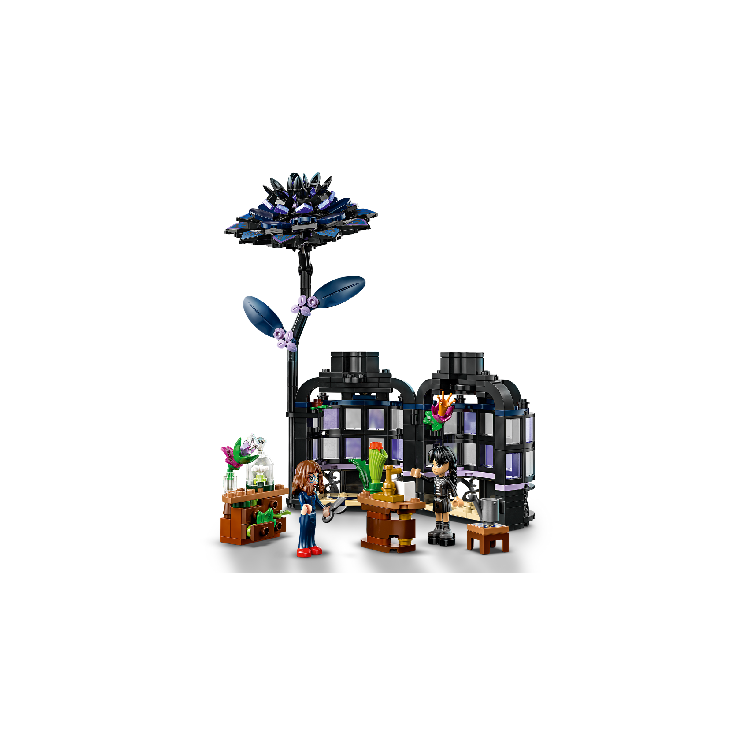 Black Dahlia Flower - Image 4